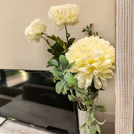Delphinium Hotel Selargius Luaran gambar